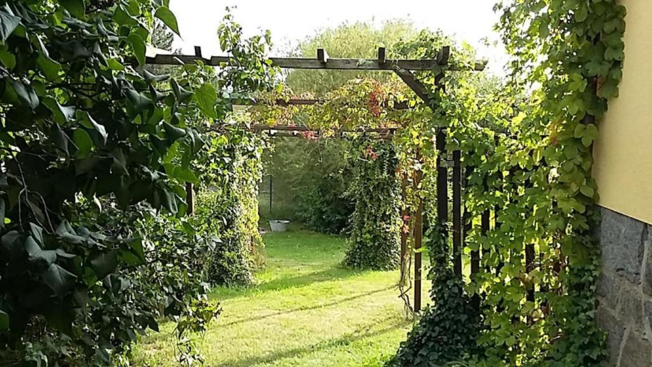Genesungsort Landhaus Dammert Oppach Екстериор снимка